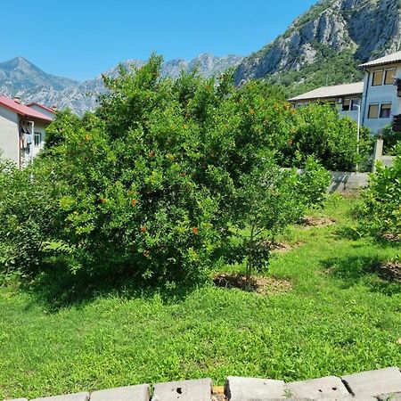 Apartments Luka Kotor Exteriör bild